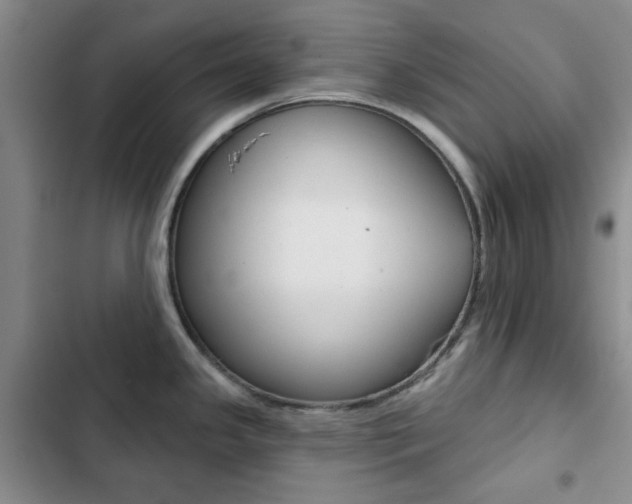 X0000102821341200808181016