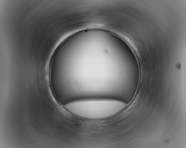 X0000102821342200808181016