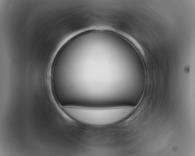 X0000102821343200808181016