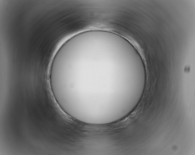 X0000102821344200808181016