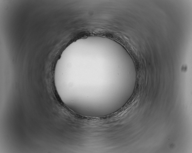 X0000102821345200808181015