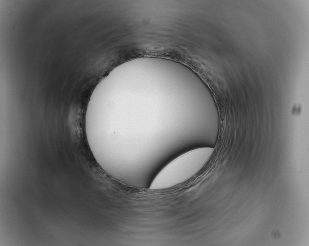 X0000102821346200808181015