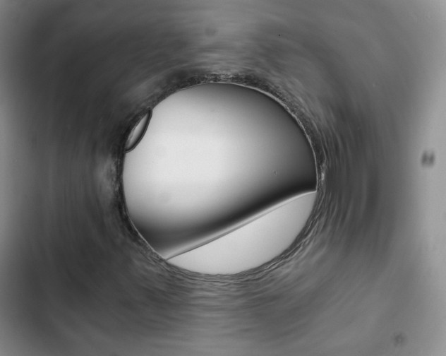 X0000102821347200808181015