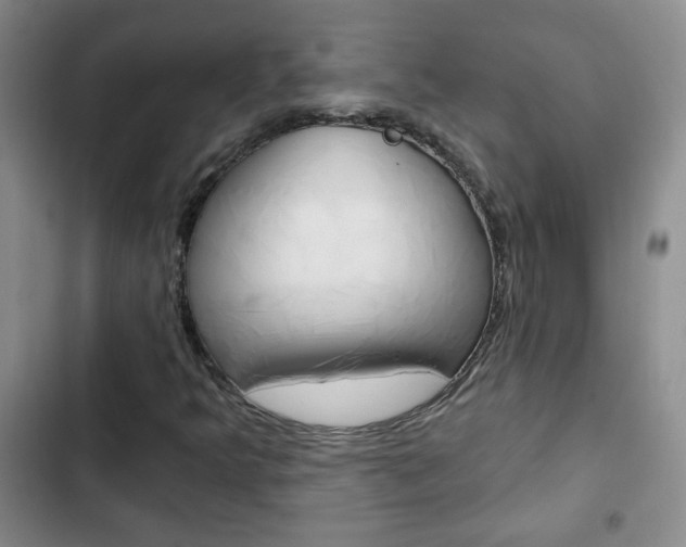 X0000102821349200808181015