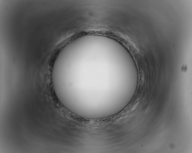 X0000102821350200808181015