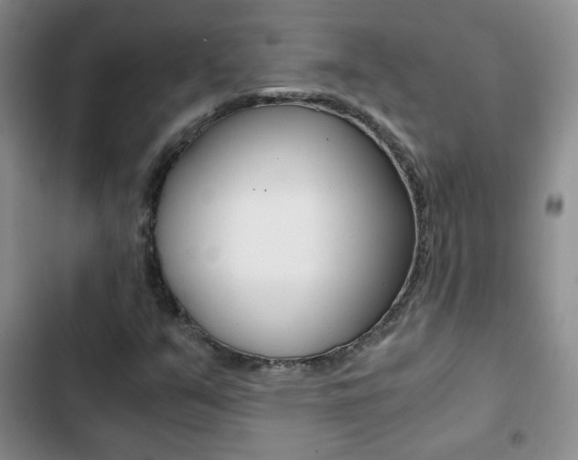 X0000102821351200808181015