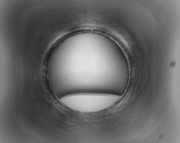 X0000102821352200808181015