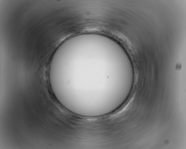 X0000102821353200808181015