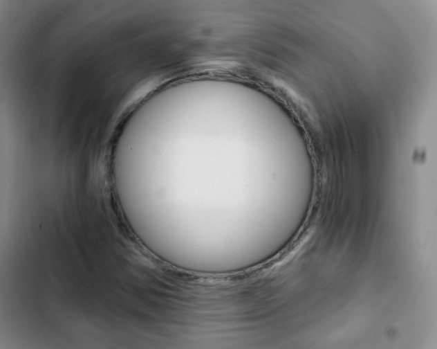 X0000102821354200808181015