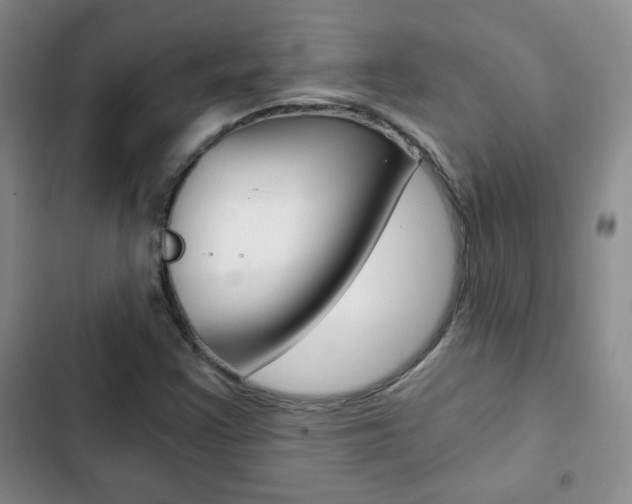 X0000102821355200808181015