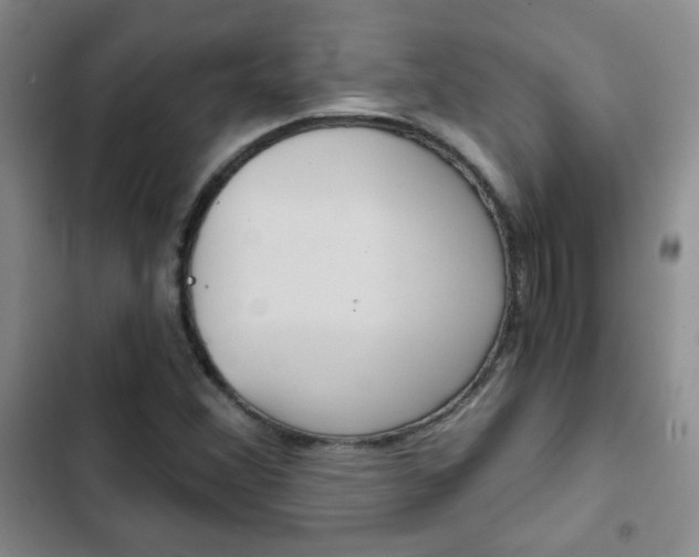 X0000102821356200808181015