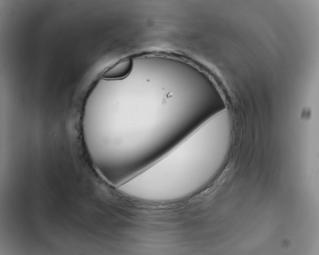 X0000102821359200808181015