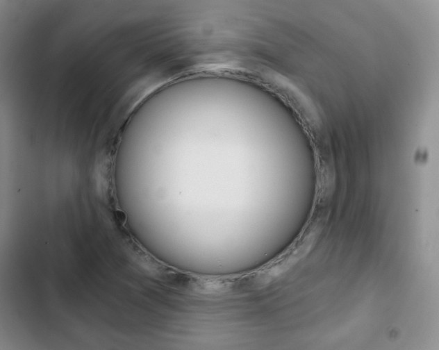 X0000102821361200808181015