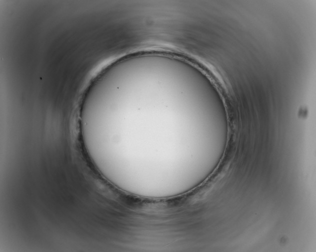 X0000102821363200808181015