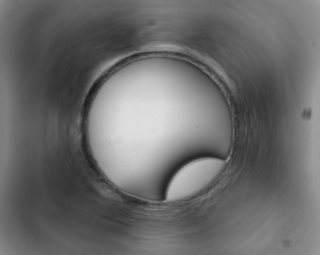X0000102821364200808181015