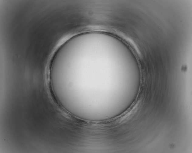 X0000102821365200808181015