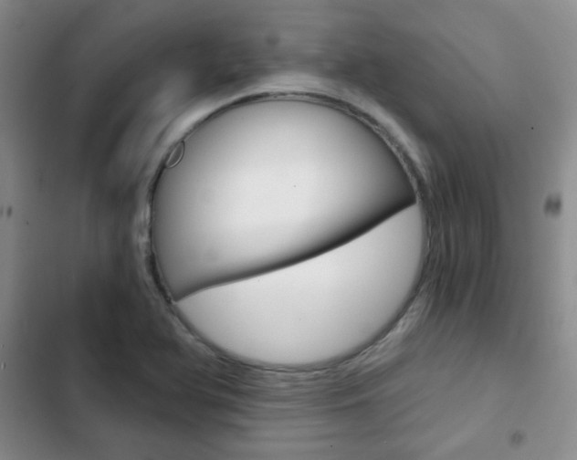 X0000102821366200808181015