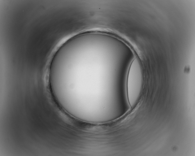 X0000102821367200808181014