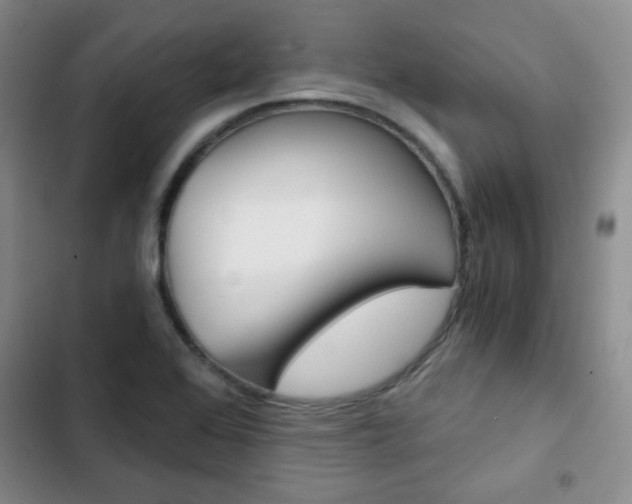 X0000102821368200808181014