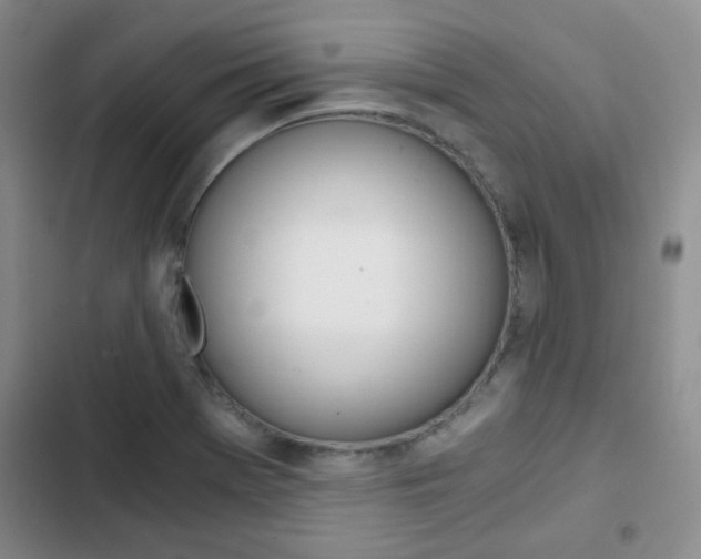 X0000102821369200808181014