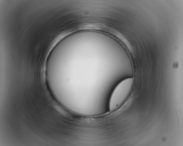 X0000102821370200808181014