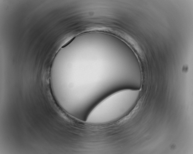 X0000102821377200808181014