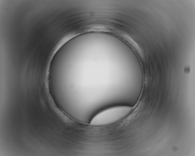 X0000102821378200808181014