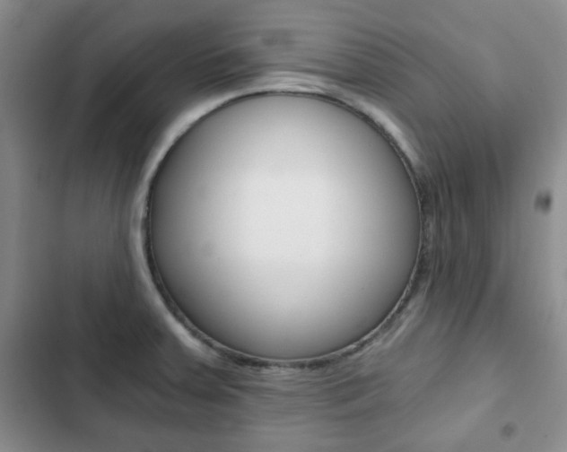 X0000102821379200808181014
