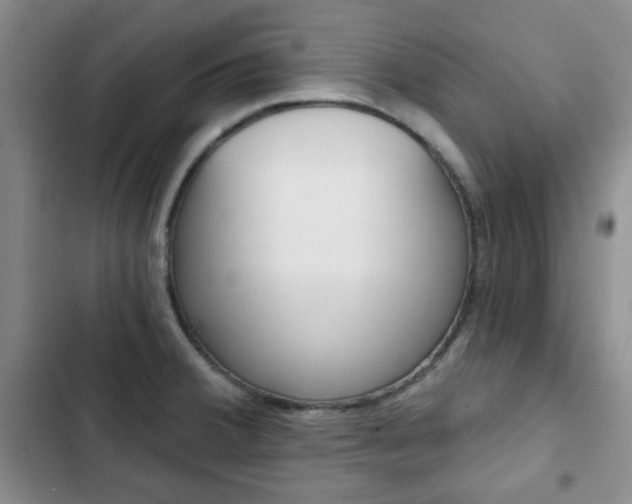 X0000102821380200808181014