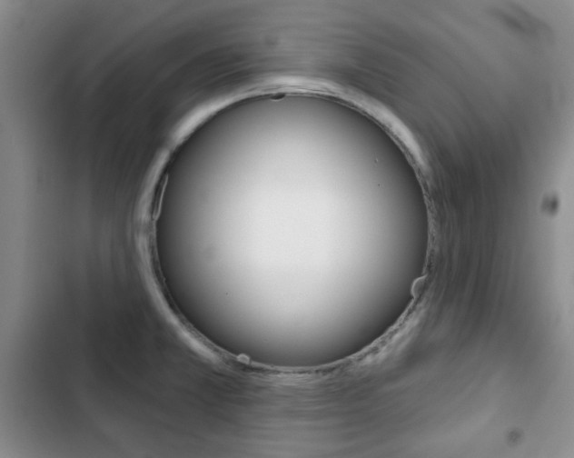 X0000102821381200808181014