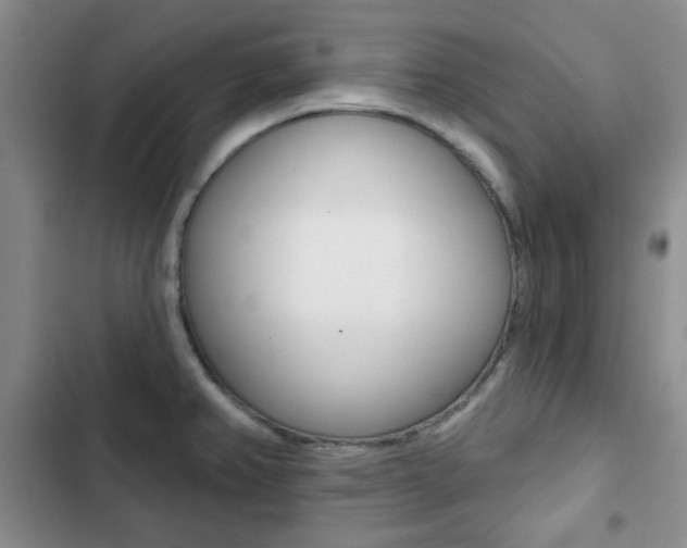 X0000102821382200808181014
