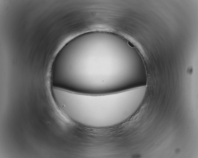 X0000102821383200808181014
