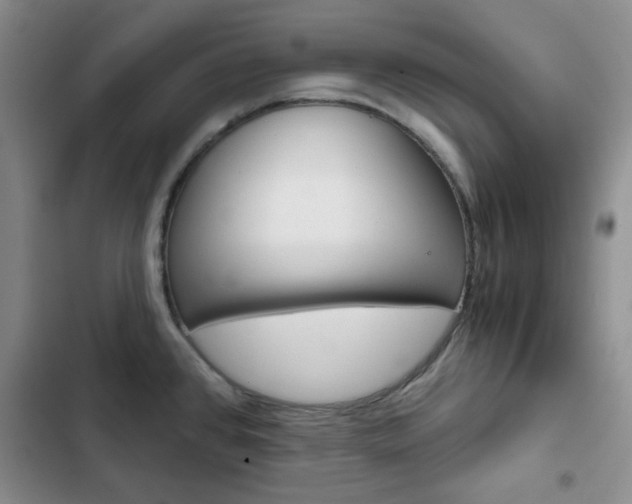 X0000102821384200808181014