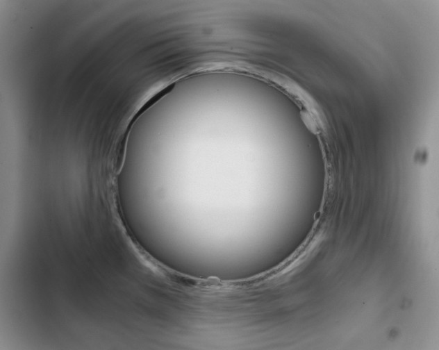 X0000102821385200808181014