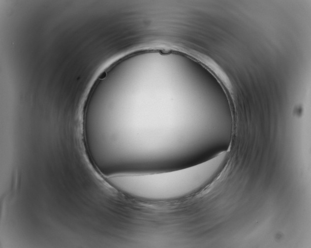 X0000102821388200808181014