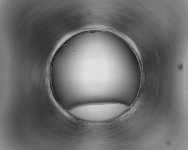 X0000102821389200808181014