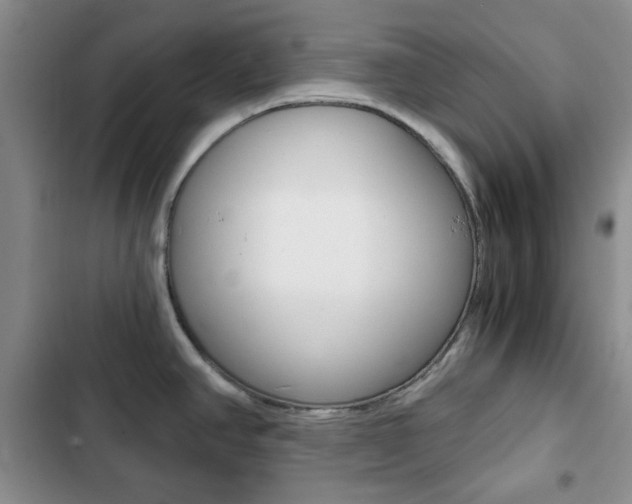 X0000102821390200808181014