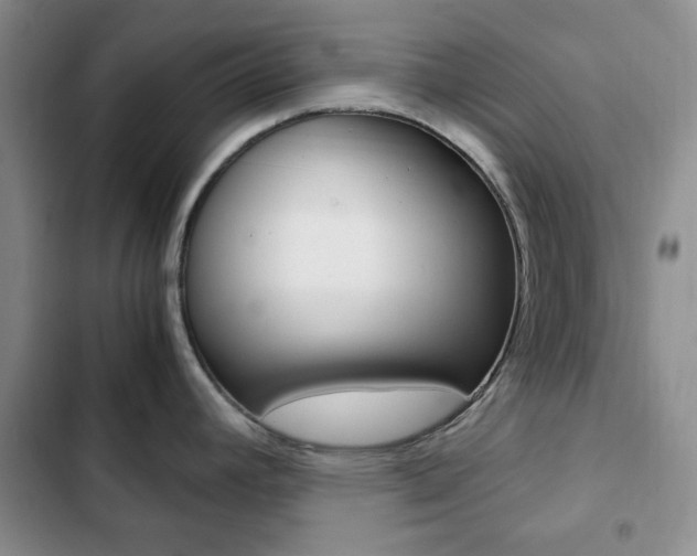 X0000102821392200808181014