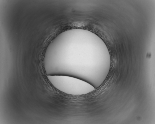 X0000102821393200808181013