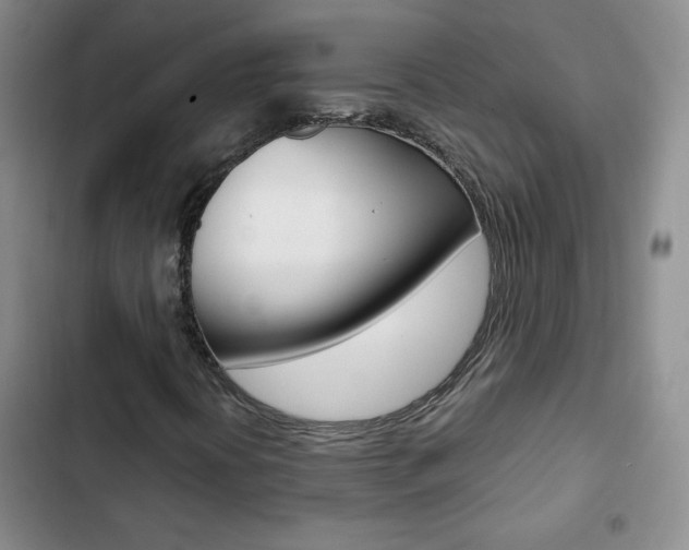 X0000102821394200808181013