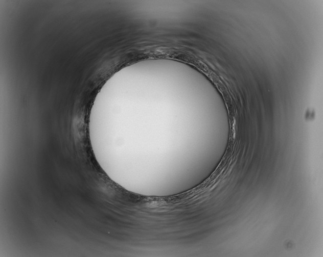X0000102821395200808181013