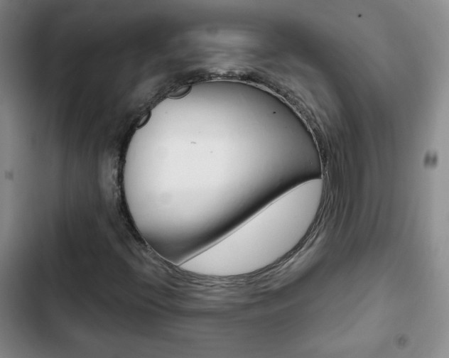 X0000102821396200808181013