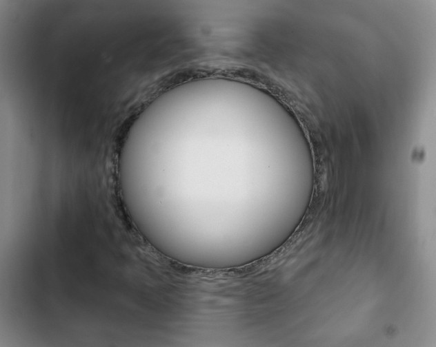 X0000102821397200808181013