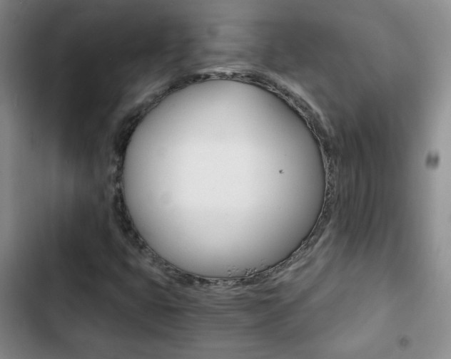 X0000102821399200808181013
