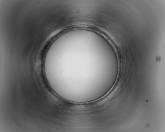 X0000102821402200808181013