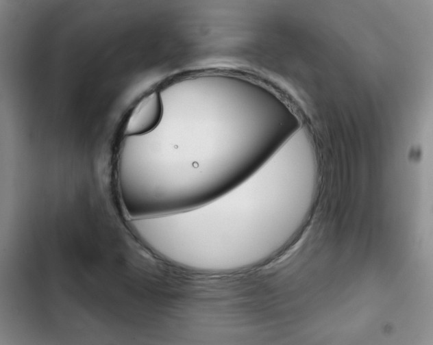 X0000102821406200808181014