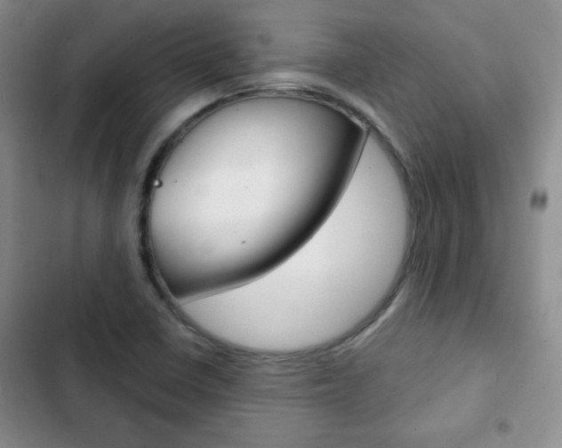 X0000102821410200808181014