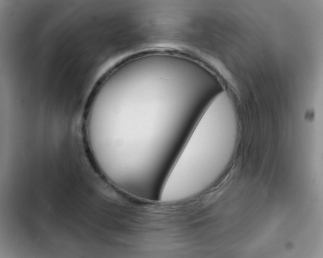 X0000102821412200808181014