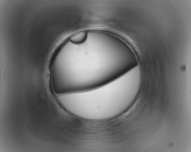 X0000102821414200808181014