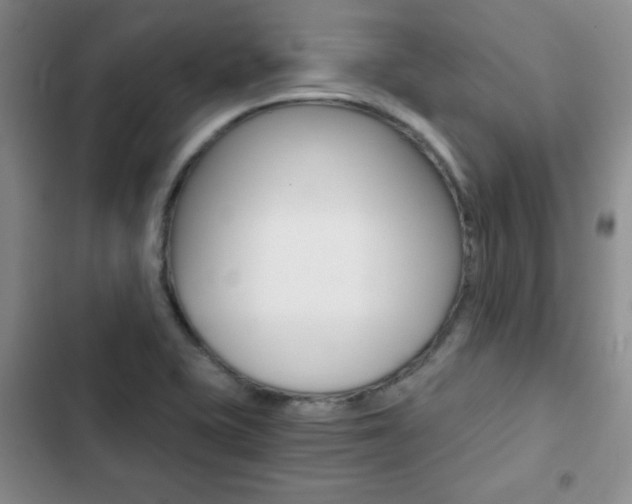 X0000102821415200808181014